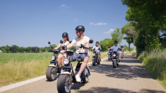 Dagje Horst aan de Maas E-Chopper Deluxe Tour